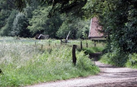Overnachten In De Oude West-Indieschool أنسْخيدي المظهر الخارجي الصورة